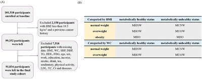 Metabolic obesity phenotypes and the risk of cancer: a prospective study of the Kailuan cohort